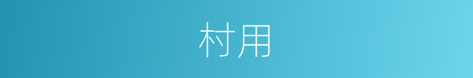 村用的同义词