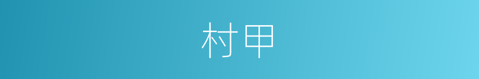村甲的同义词