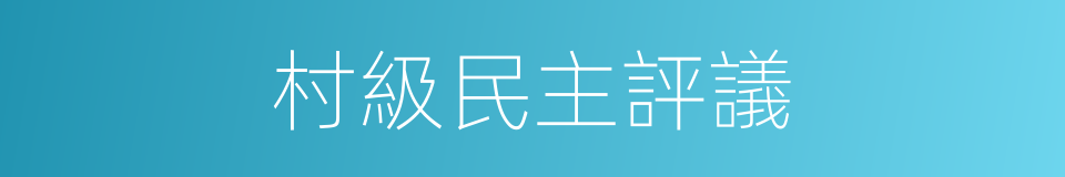 村級民主評議的同義詞