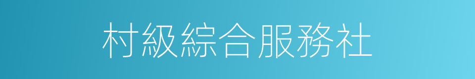 村級綜合服務社的同義詞