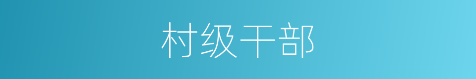 村级干部的同义词