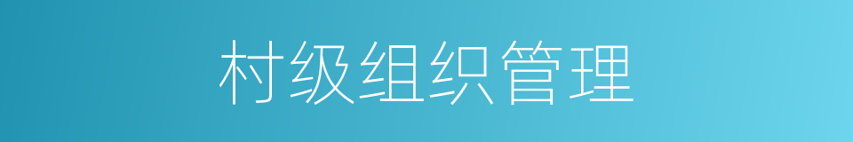 村级组织管理的同义词