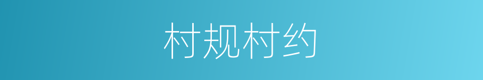 村规村约的同义词