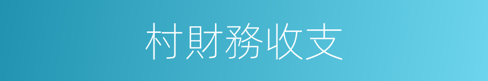 村財務收支的同義詞