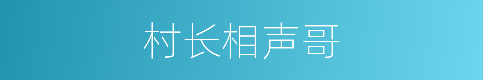 村长相声哥的同义词