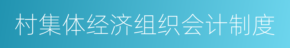 村集体经济组织会计制度的同义词