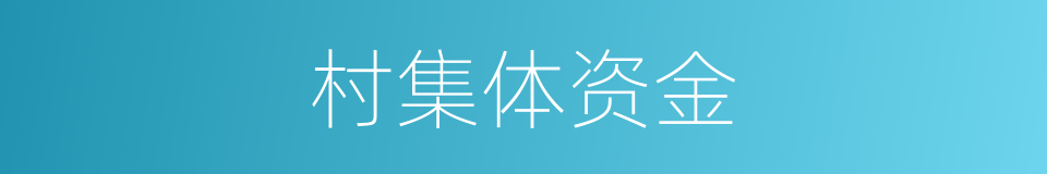 村集体资金的同义词