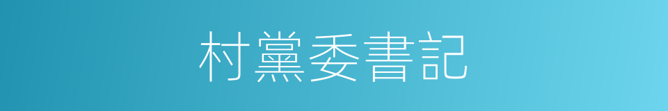 村黨委書記的同義詞