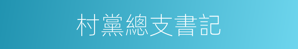 村黨總支書記的同義詞