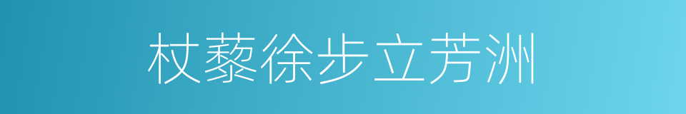 杖藜徐步立芳洲的同义词