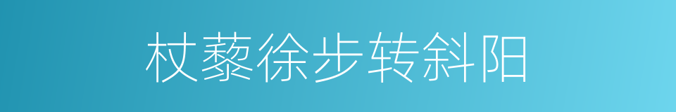 杖藜徐步转斜阳的同义词