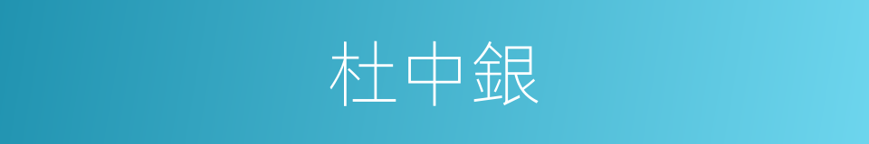 杜中銀的同義詞