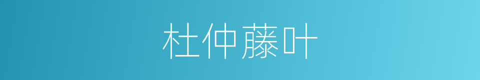 杜仲藤叶的同义词
