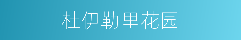 杜伊勒里花园的同义词