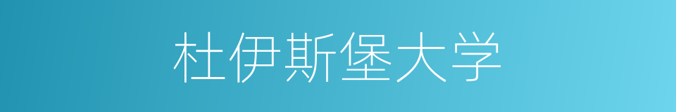 杜伊斯堡大学的同义词
