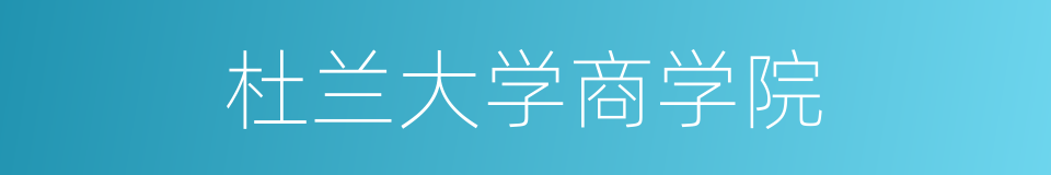 杜兰大学商学院的同义词