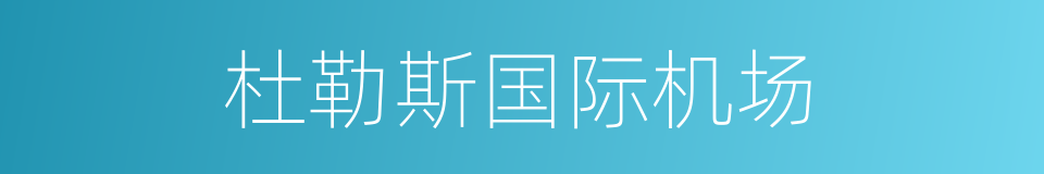 杜勒斯国际机场的同义词