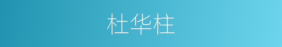 杜华柱的同义词