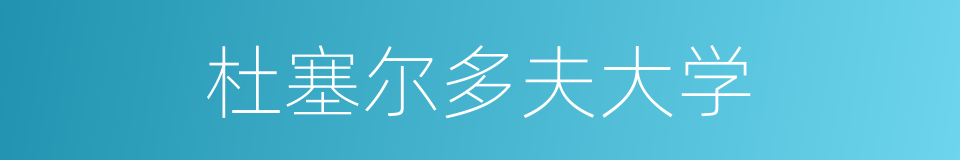 杜塞尔多夫大学的同义词