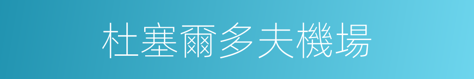 杜塞爾多夫機場的同義詞