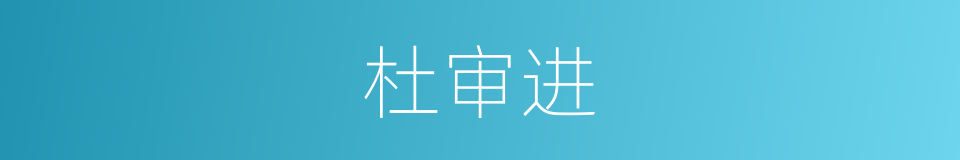 杜审进的同义词