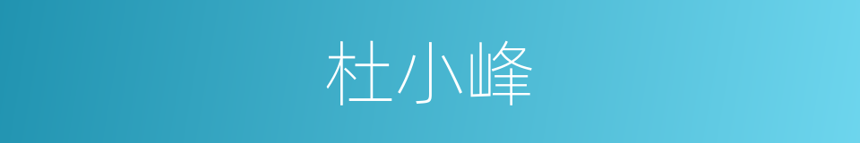 杜小峰的同义词