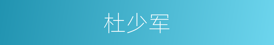 杜少军的同义词