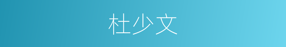 杜少文的同义词