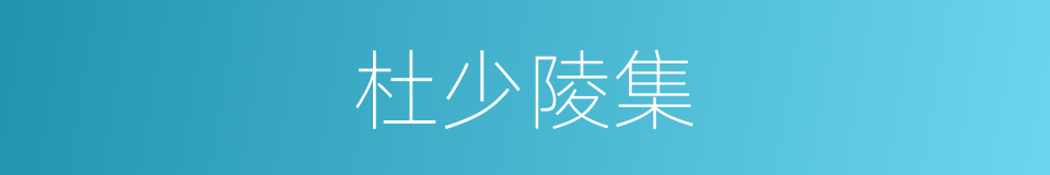 杜少陵集的同义词