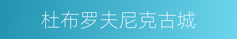 杜布罗夫尼克古城的同义词