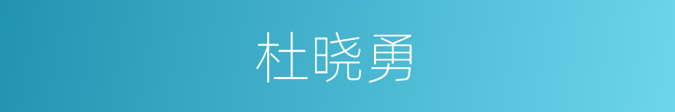 杜晓勇的同义词