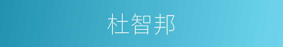 杜智邦的同义词