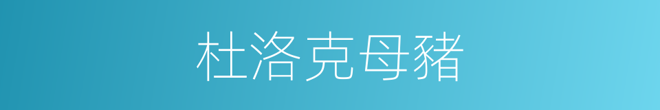杜洛克母豬的同義詞