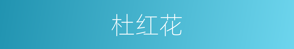 杜红花的同义词