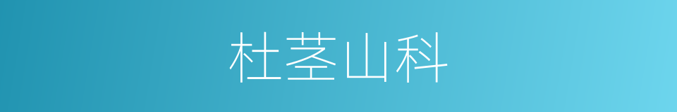 杜茎山科的同义词