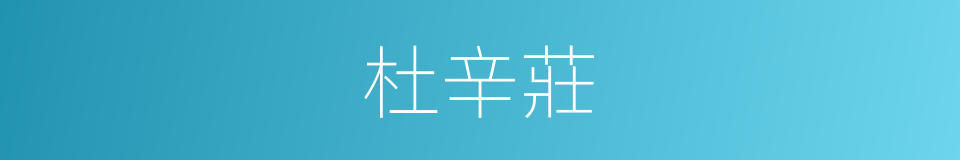 杜辛莊的同義詞