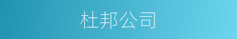 杜邦公司的同义词