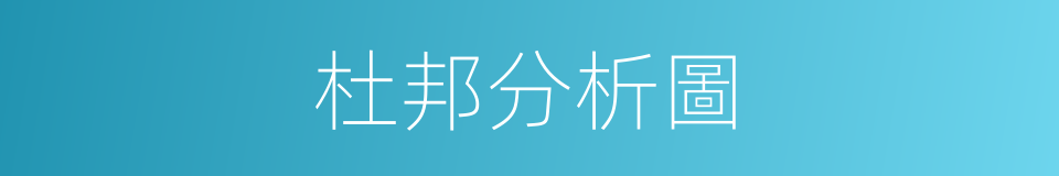 杜邦分析圖的同義詞