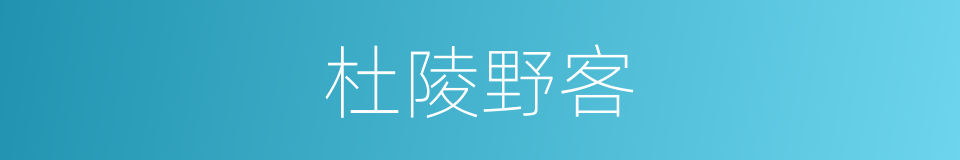 杜陵野客的意思