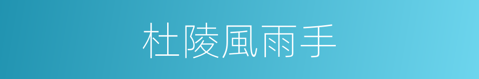 杜陵風雨手的意思