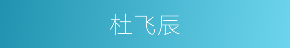 杜飞辰的同义词