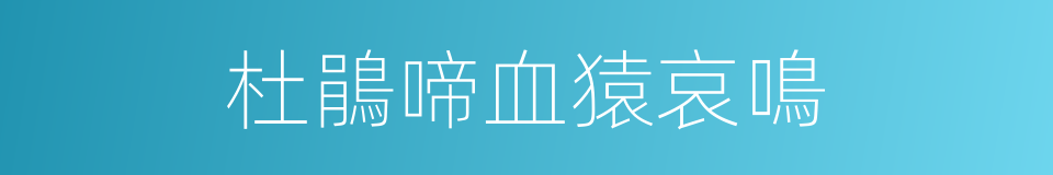 杜鵑啼血猿哀鳴的同義詞