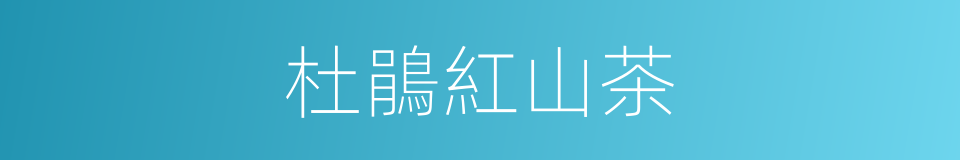 杜鵑紅山茶的同義詞