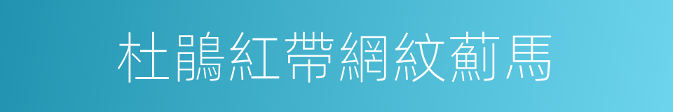 杜鵑紅帶網紋薊馬的同義詞