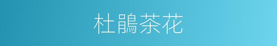杜鵑茶花的同義詞