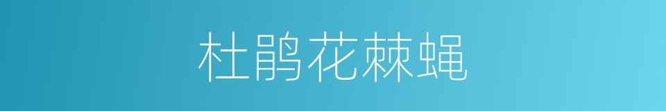 杜鹃花棘蝇的同义词