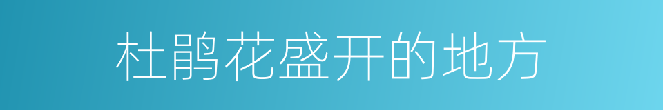 杜鹃花盛开的地方的同义词