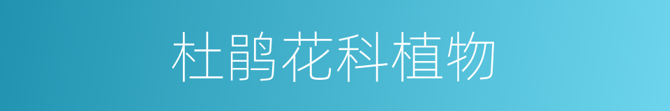 杜鹃花科植物的同义词