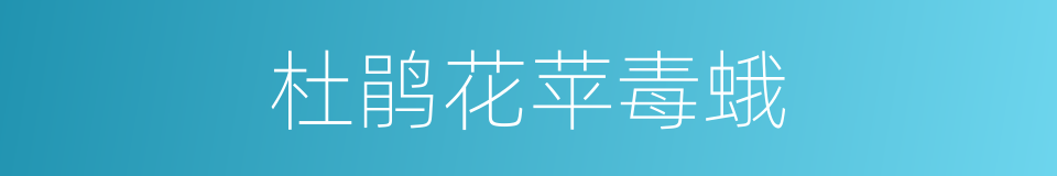 杜鹃花苹毒蛾的同义词