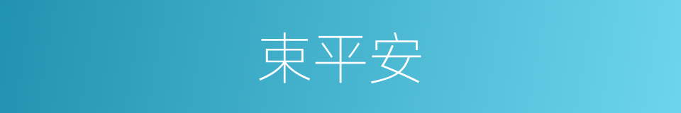 束平安的同义词